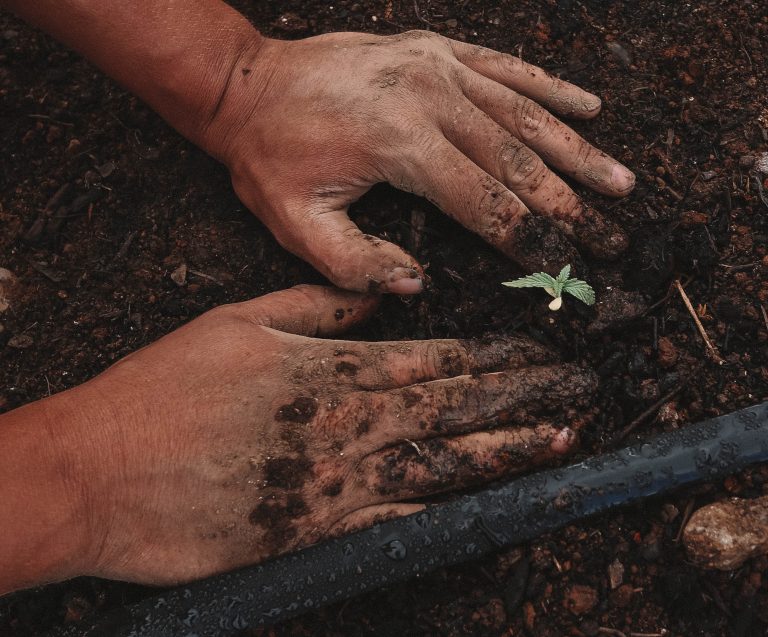 agricultura