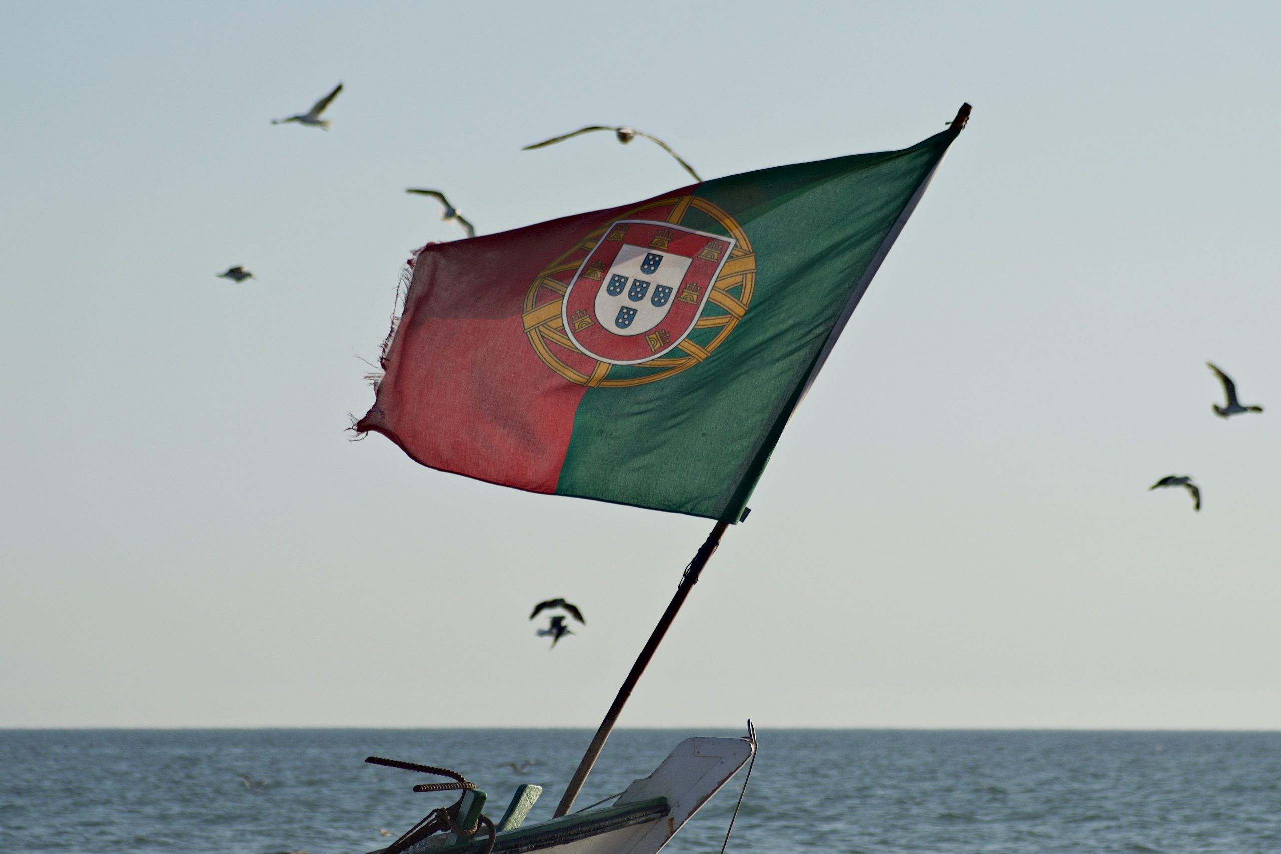guerra na ucrânia
